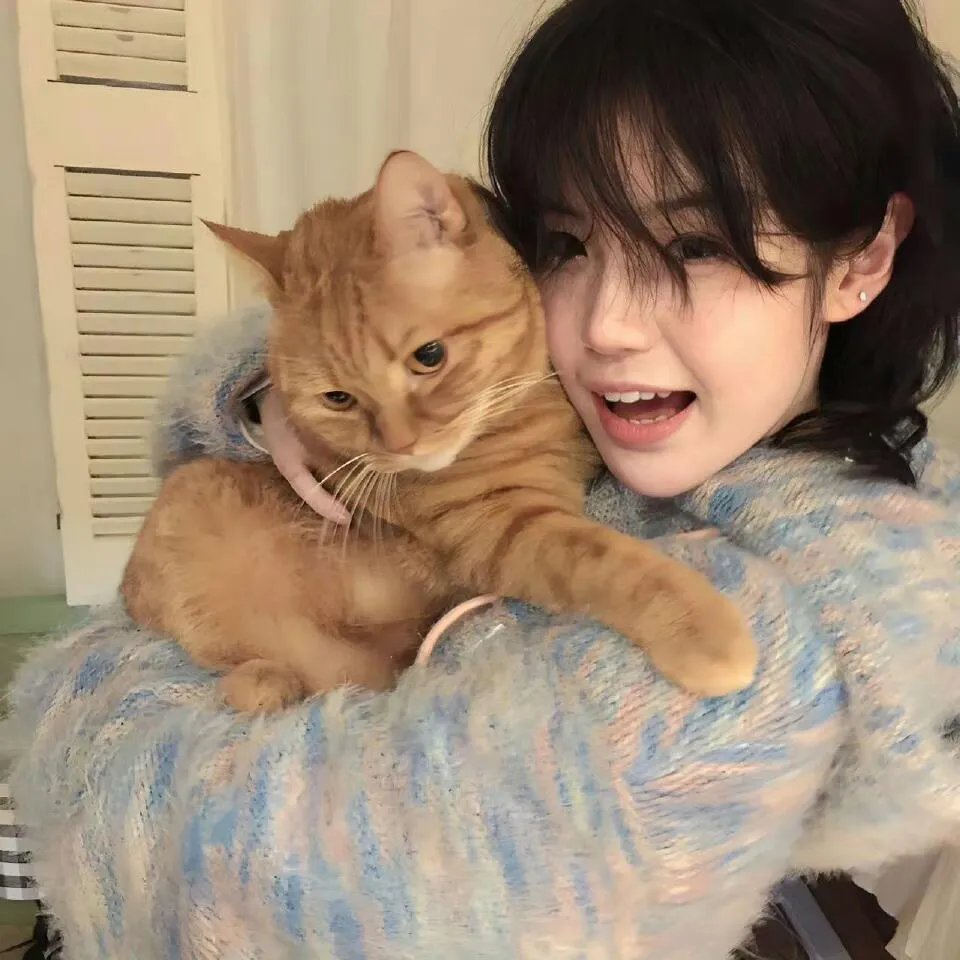 金牌律师之生死劫